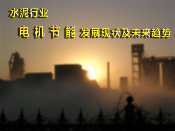 水泥行業(yè)電機(jī)節(jié)能發(fā)展現(xiàn)狀和未來趨勢(shì)