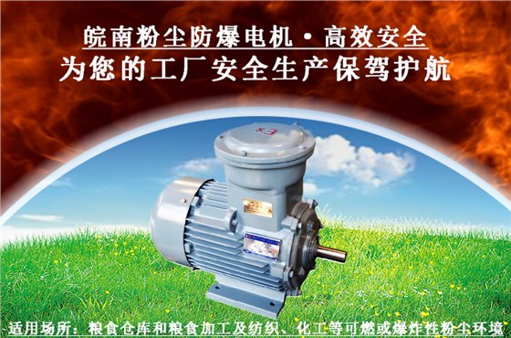 粉塵防爆電機 粉塵防爆電機