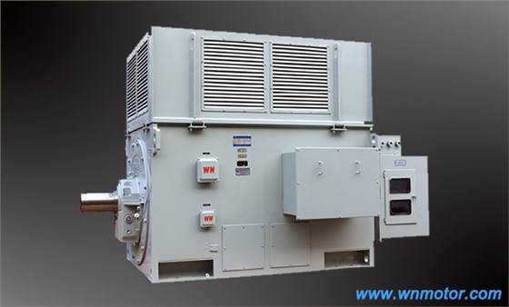 高壓電機 高壓電機