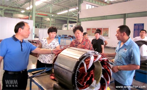 宣城市副市長到皖南電機威能公司視察 宣城市副市長到皖南電機威能公司視察