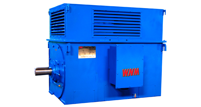 Y系列中型高壓電動機(jī)