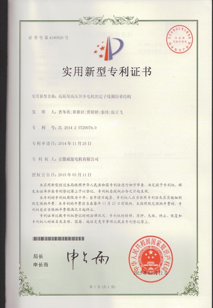 皖南電機(jī)專利|高原用高壓異步電機(jī)的定子線圈防暈結(jié)構(gòu) 皖南電機(jī)專利|高原用高壓異步電機(jī)的定子線圈防暈結(jié)構(gòu)