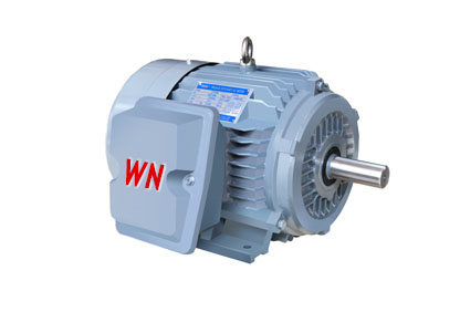 NE系列高效高轉(zhuǎn)矩三相異步電動(dòng)機(jī) NE系列高效高轉(zhuǎn)矩三相異步電動(dòng)機(jī)